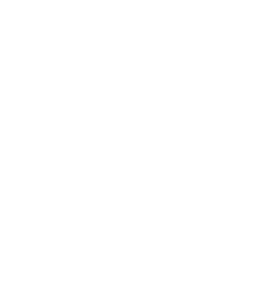 Logo Maison AD blanc pour page d'accueil